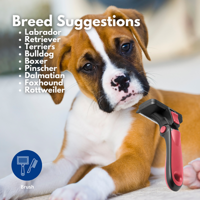 Refuresh Medium size Gentle Deshedding Brush Tool for Pets with Short/Medium Hair