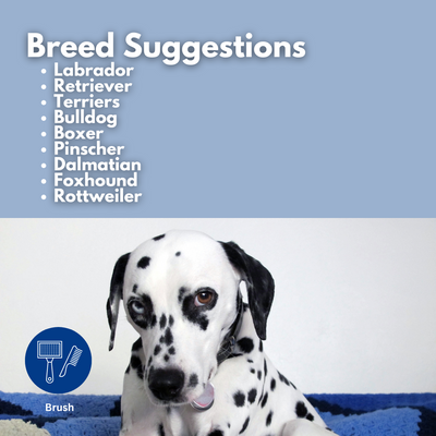 Refuresh Large size Gentle Deshedding Brush Tool for Pets with Short/Medium Hair