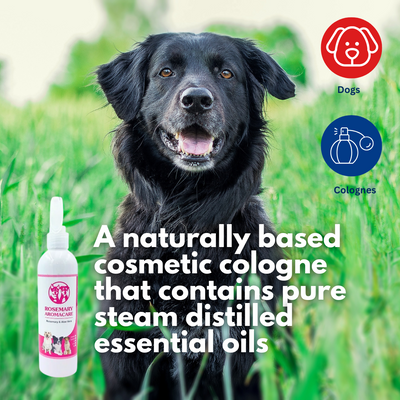 Rosemary Aromacare 250ml