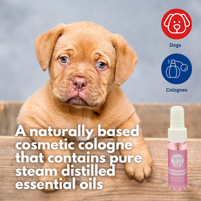 Rosemary Aromacare Spray 35ml Bundle 3pk