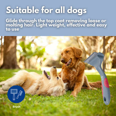 Shear Magic Shedding Rake