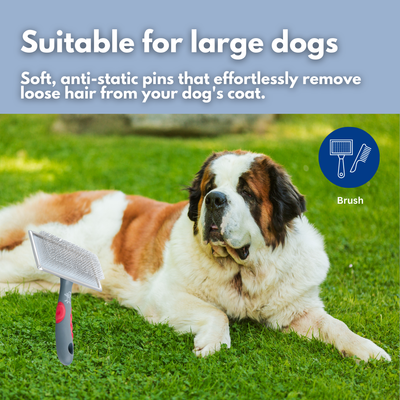 Shear Magic Slicker Large