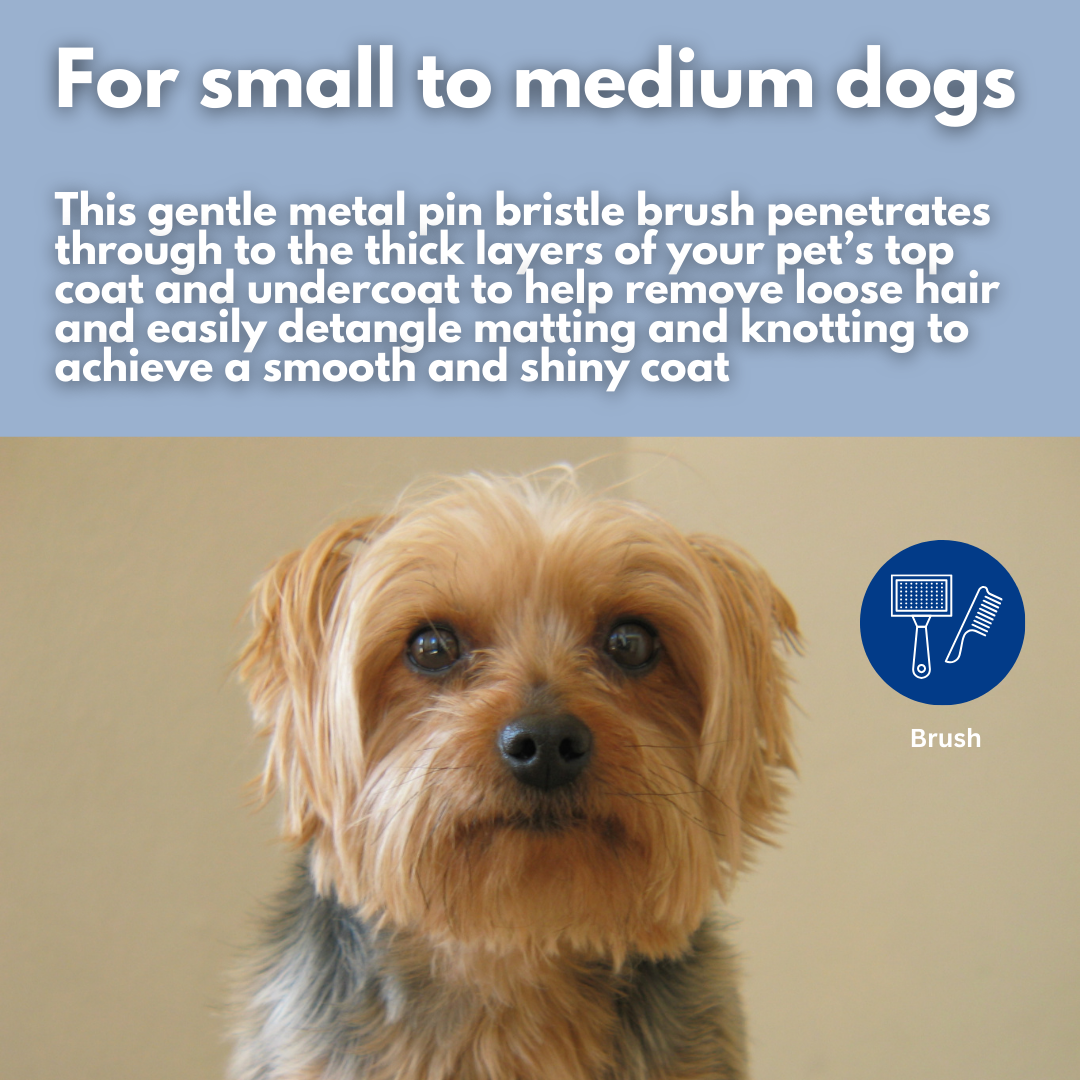 Shear Magic Ezi Clean Slicker Brush Small