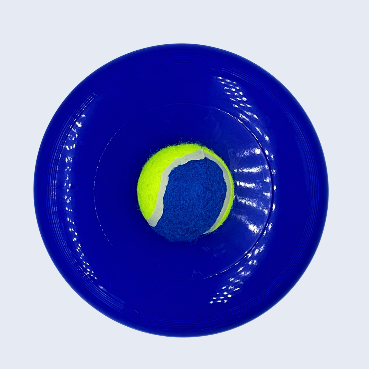 Toy Frisbee with Ball