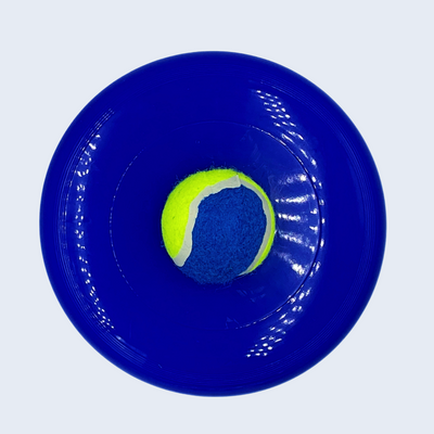 Toy Frisbee with Ball