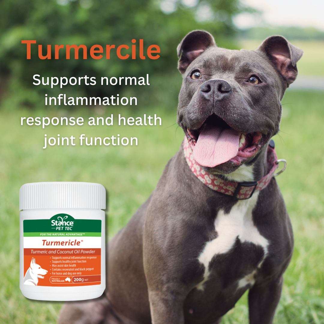 Turmericle 200g
