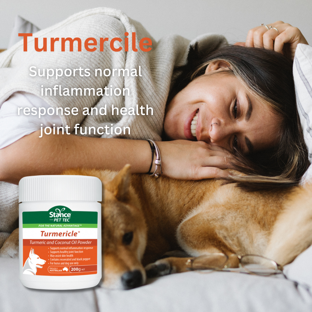 Turmericle 200g