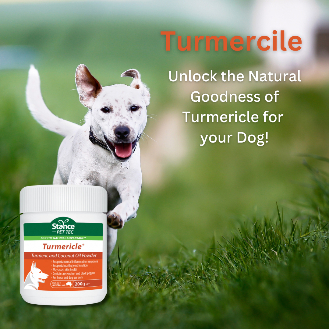 Turmericle 200g