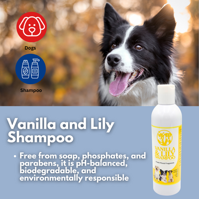 Vanilla and Lily Shampoo 250ml