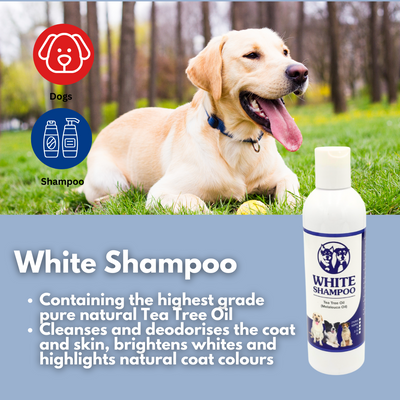 Aussie Pooch Bright White Dog Shampoo Bundle – Stain & Yellowing Defense