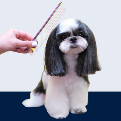 Breed-Specific Grooming Tips: What Your Dog Really Needs