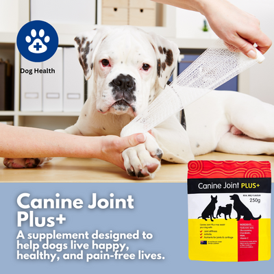 Canine Joint Plus 250g
