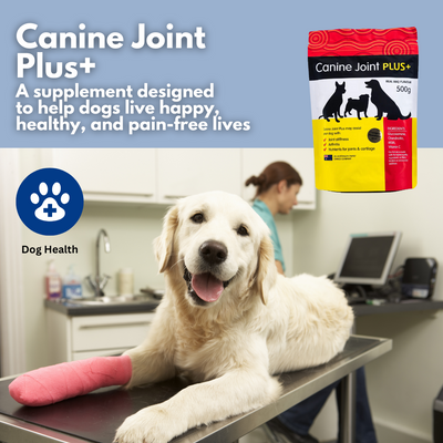 Canine Joint Plus 500g