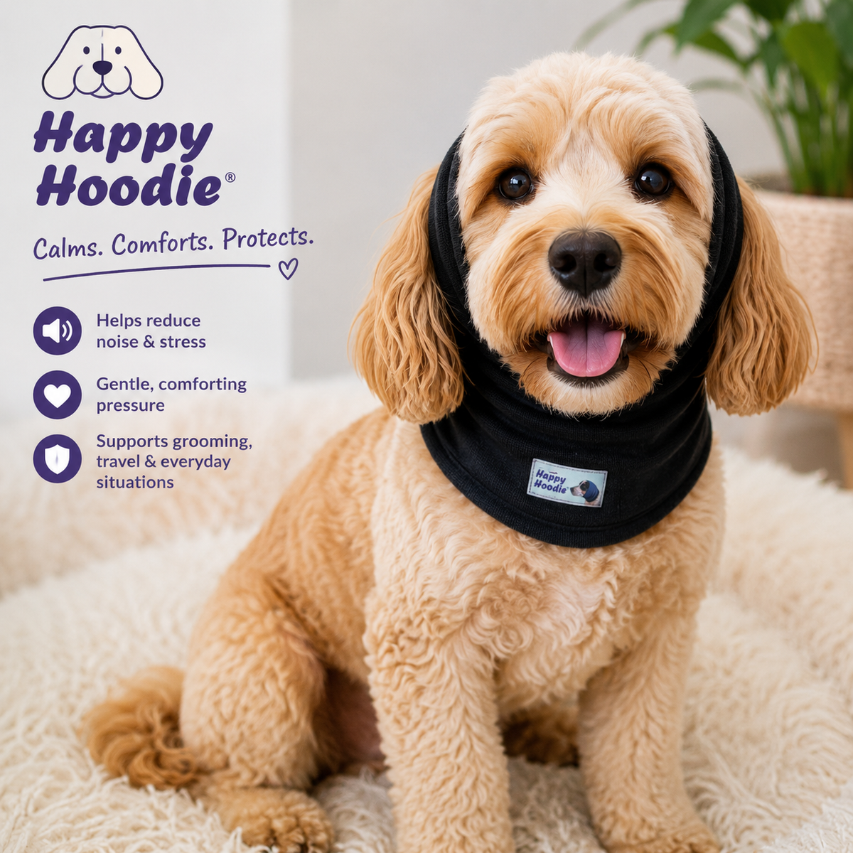 Happy Hoodie