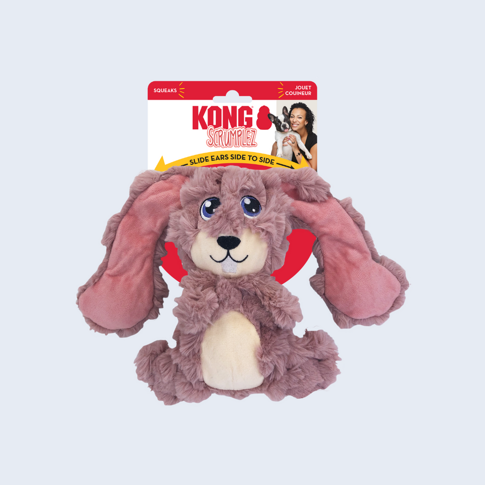 KONG Scrumplez Bunny Rabbit | Aussie Pooch Direct - Snuggly ...