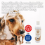 Protein Shampoo Travel Pack