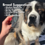 Refuresh Large size Gentle Deshedding Brush Tool for Pets with Long Hair