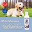 White Shampoo Travel Pack